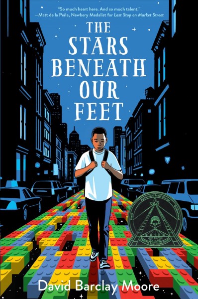 the stars beneath my feet book the stars beneath my feet book